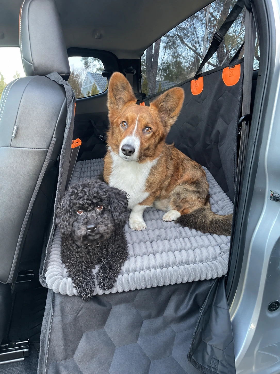 Customer dog using RoadNest