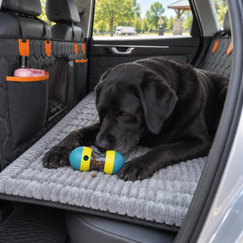 Black Labrador investigating the blue and yellow RoadNest treat-dispensing toy