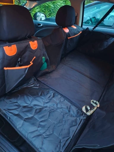 Dog resting on RoadNest in a car