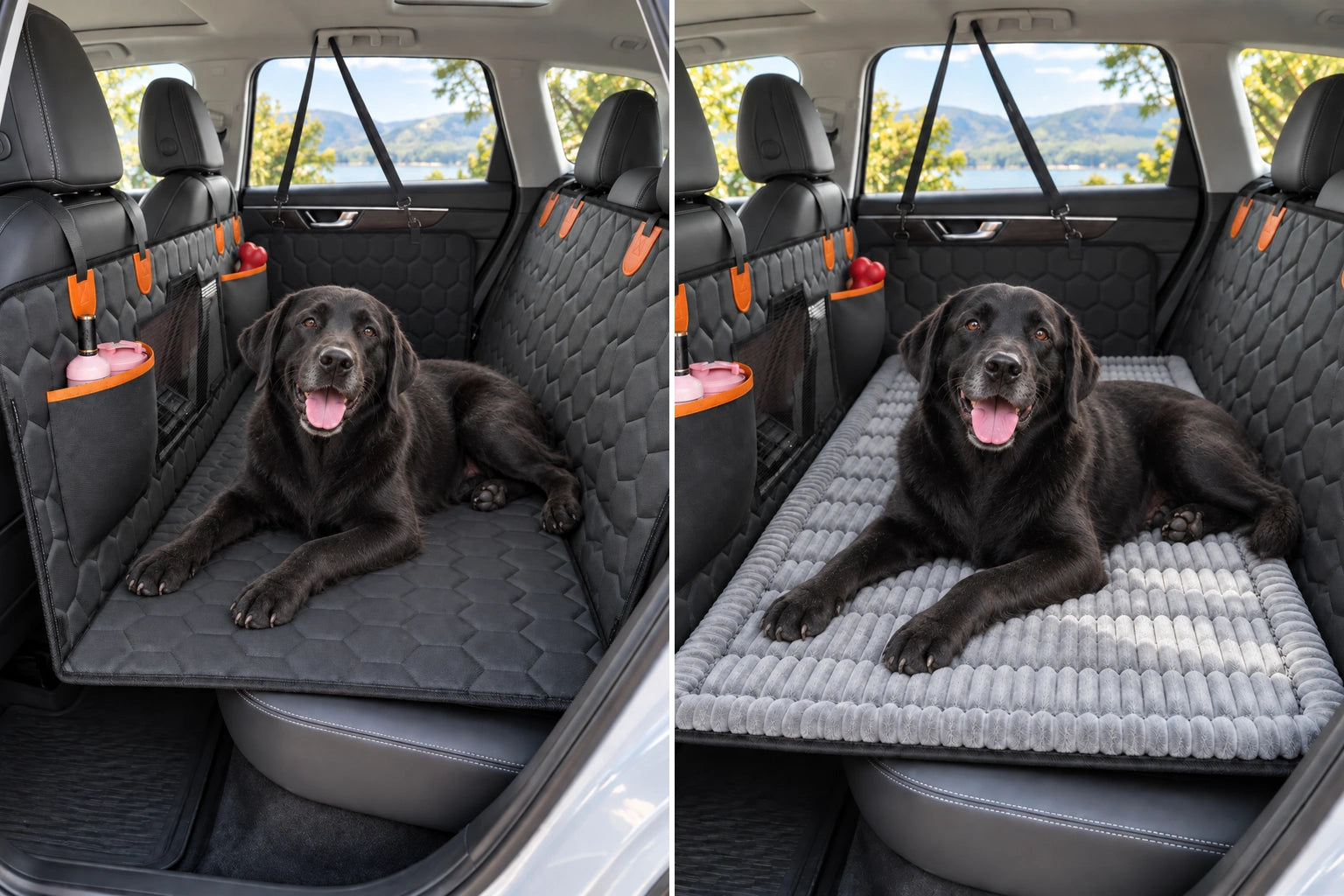 Black Labrador comparing the Standard RoadNest with the Complete Comfort bundle
